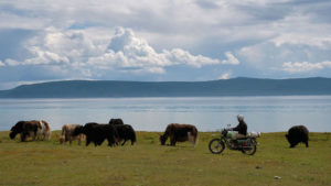 Tour in moto in Mongolia